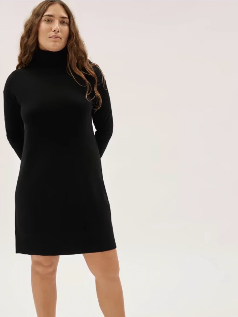 Everlane Women’s The Cashmere Turtleneck Dress Sz M